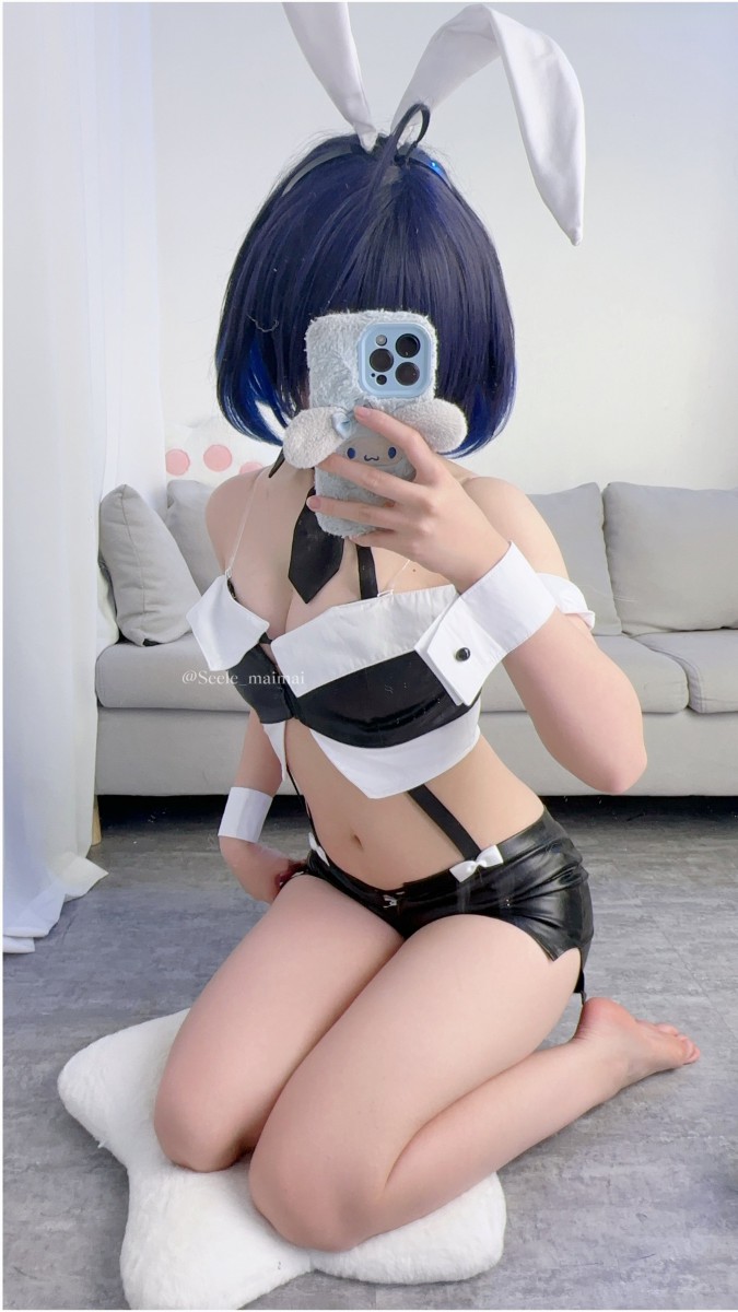 Seele麦麦 – NO.024 崩坏3 兔女郎希儿[83P-147.3M]插图1